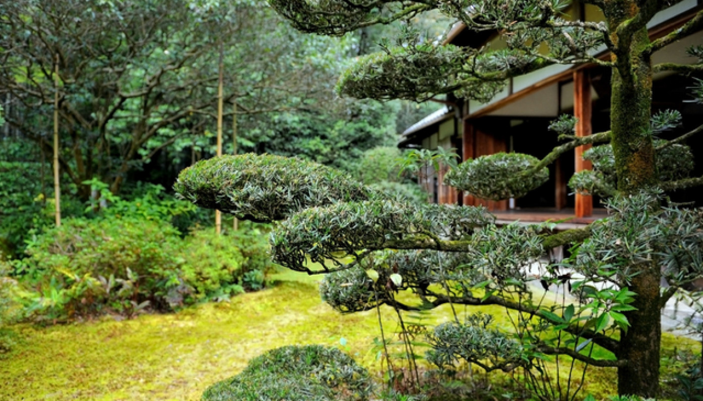 Concevez un jardin japonais en 3D grâce au talent de VerTige-Design !